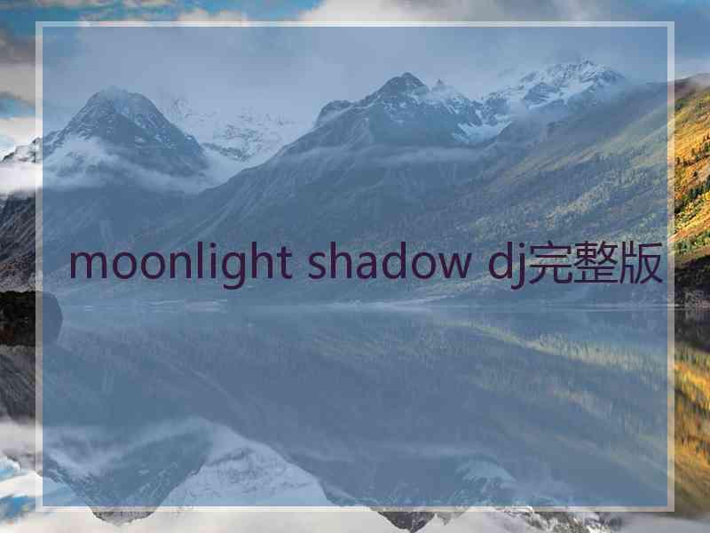 moonlight shadow dj完整版