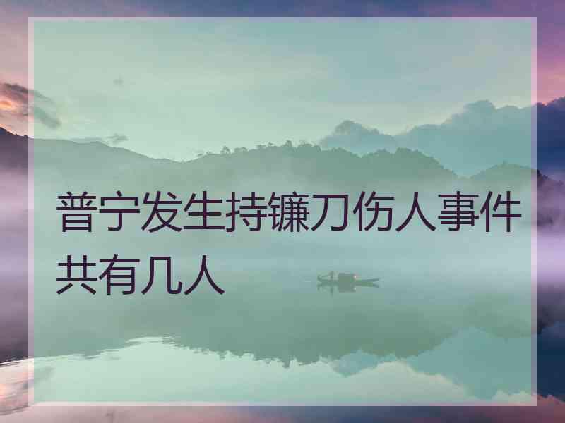 普宁发生持镰刀伤人事件共有几人