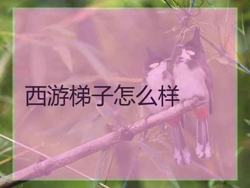 西游梯子怎么样