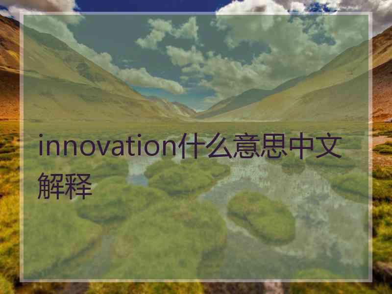 innovation什么意思中文解释