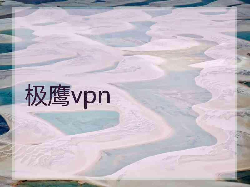 极鹰vpn