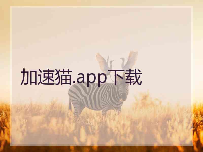 加速猫.app下载