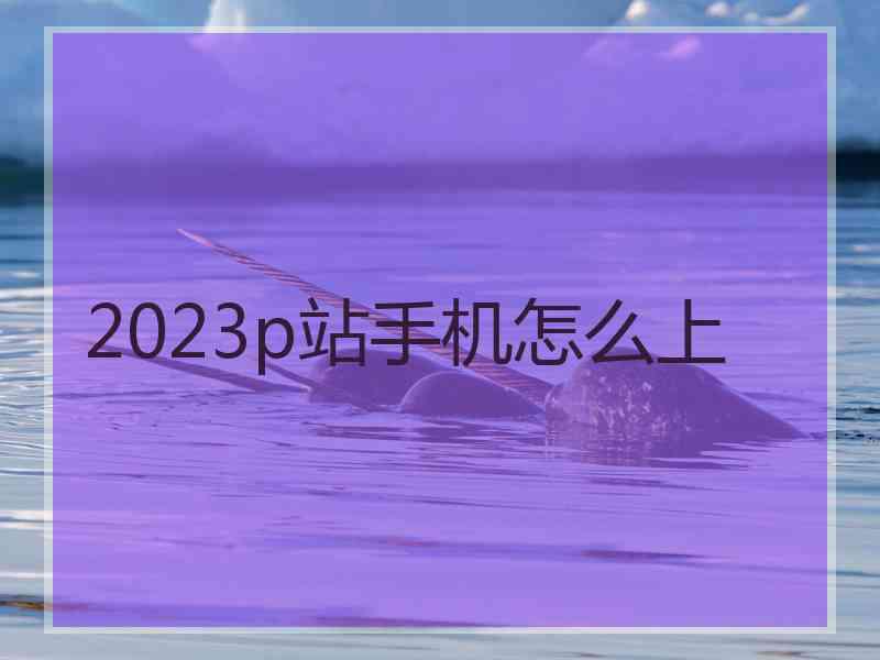 2023p站手机怎么上