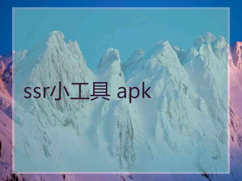 ssr小工具 apk