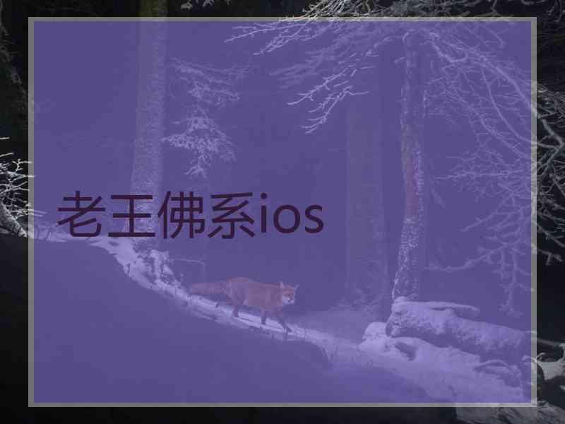 老王佛系ios