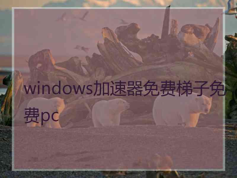 windows加速器免费梯子免费pc