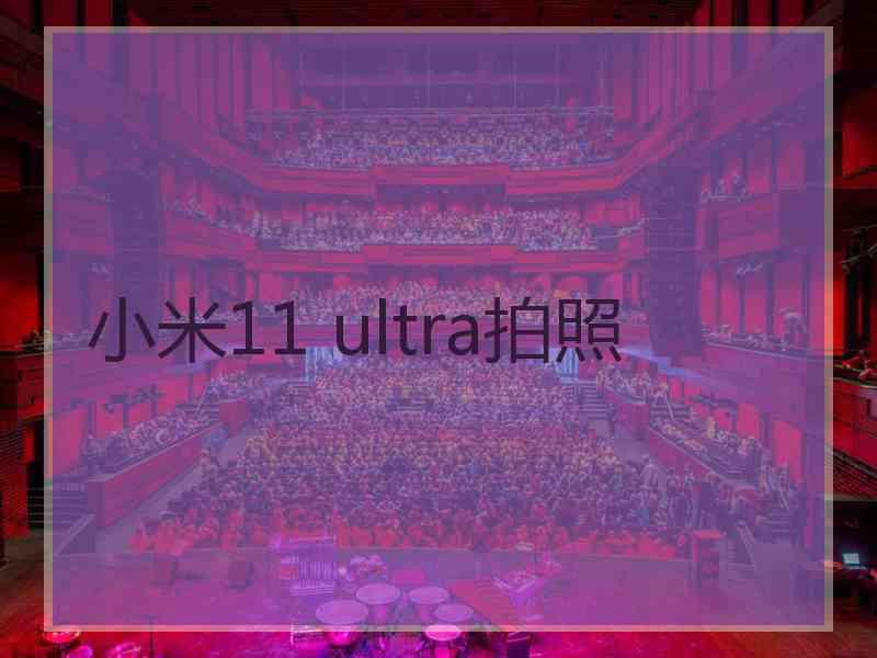 小米11 ultra拍照