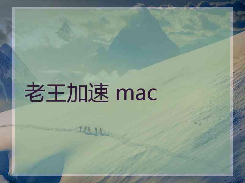 老王加速 mac