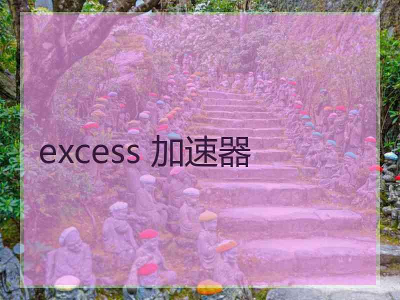 excess 加速器