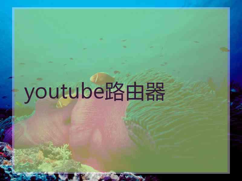 youtube路由器