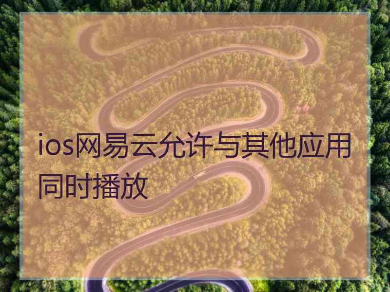 ios网易云允许与其他应用同时播放