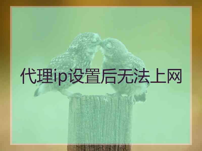 代理ip设置后无法上网