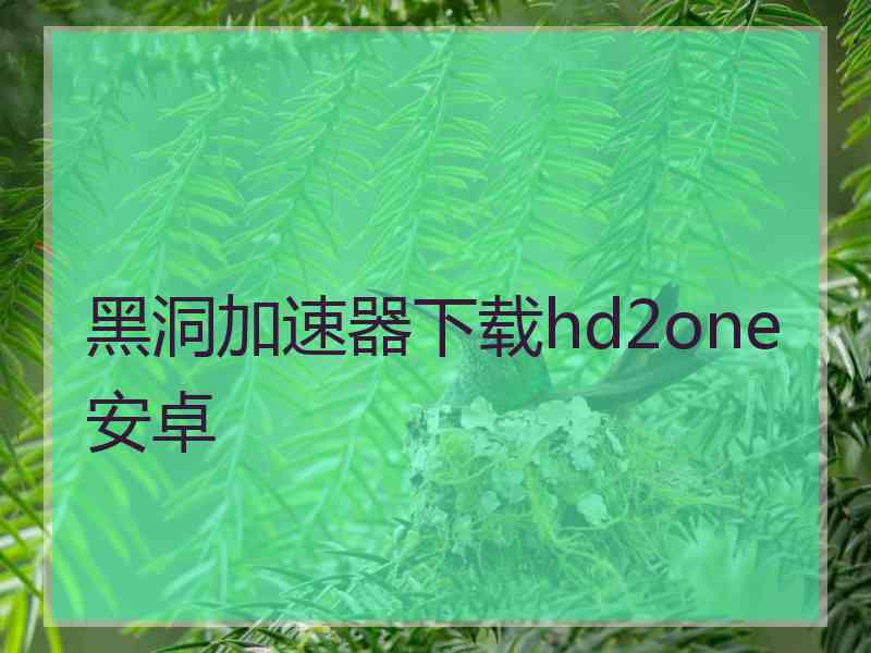 黑洞加速器下载hd2one安卓