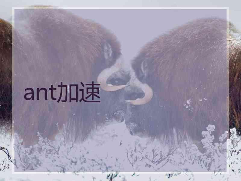 ant加速