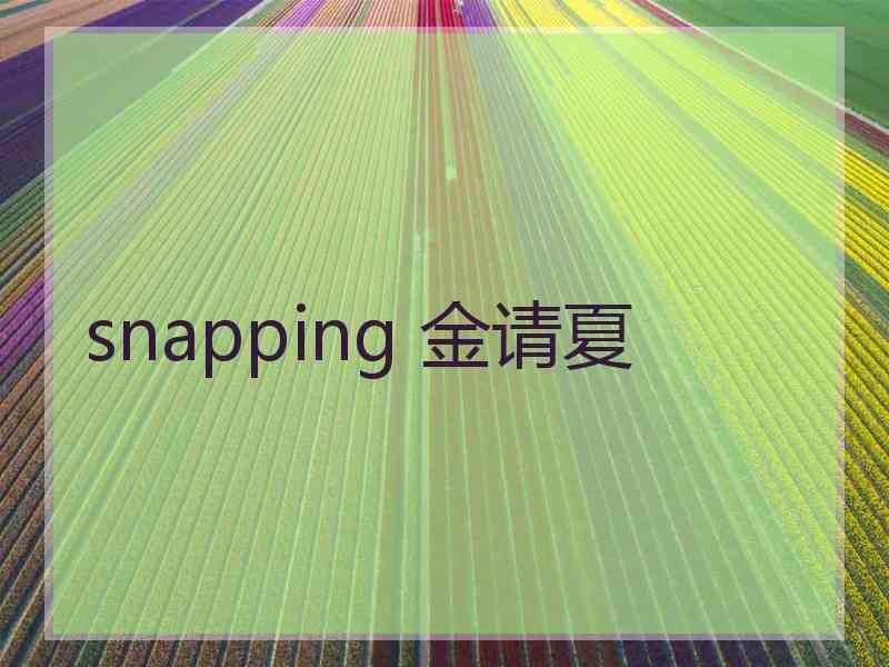 snapping 金请夏