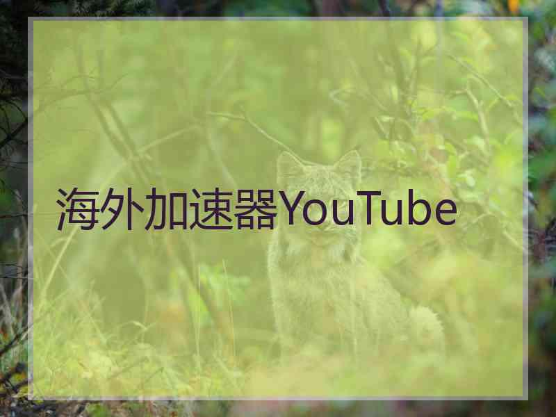 海外加速器YouTube