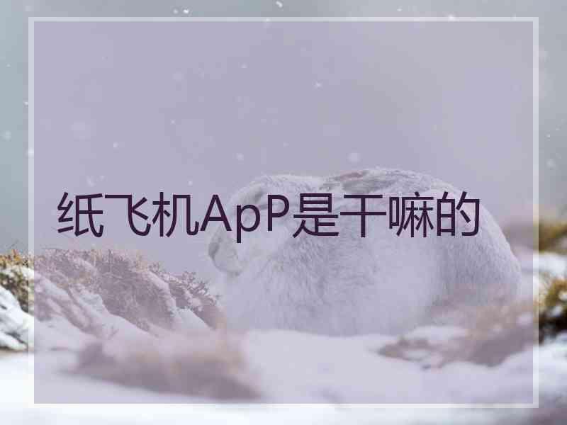 纸飞机ApP是干嘛的