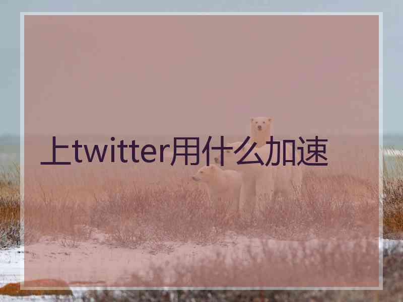 上twitter用什么加速