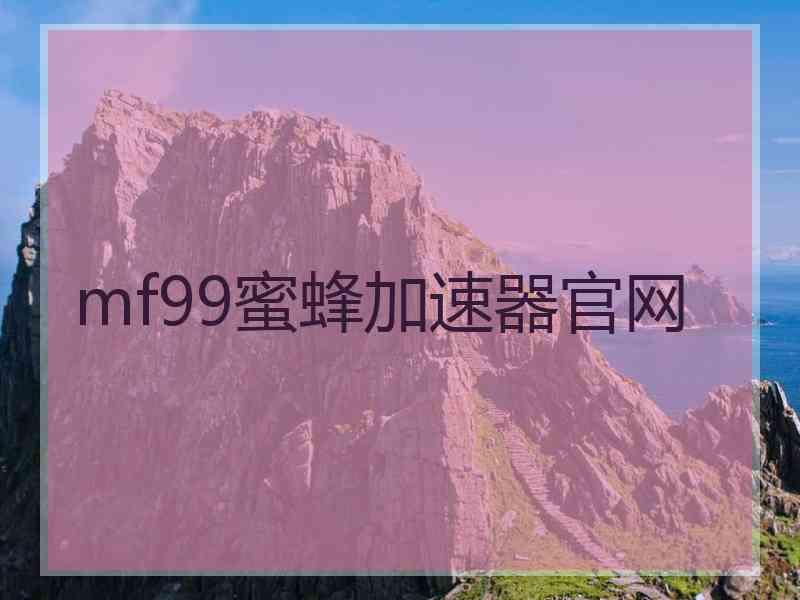 mf99蜜蜂加速器官网