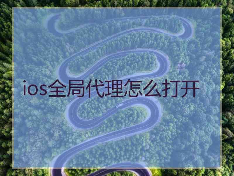 ios全局代理怎么打开