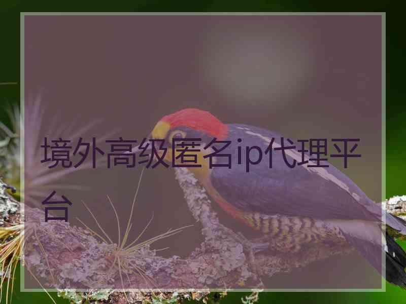 境外高级匿名ip代理平台