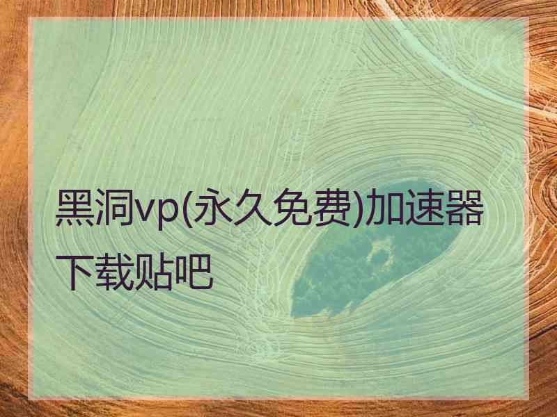 黑洞vp(永久免费)加速器下载贴吧