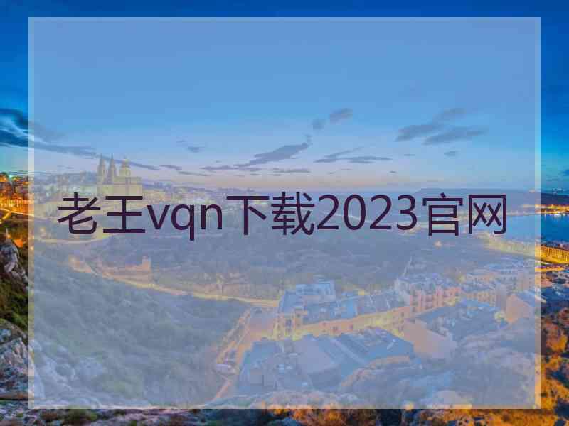 老王vqn下载2023官网