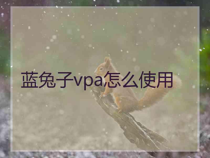 蓝兔子vpa怎么使用