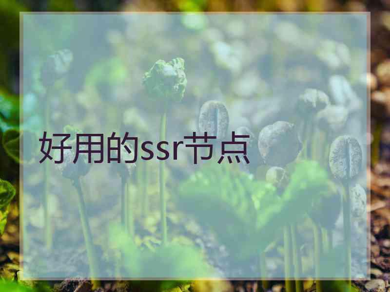 好用的ssr节点