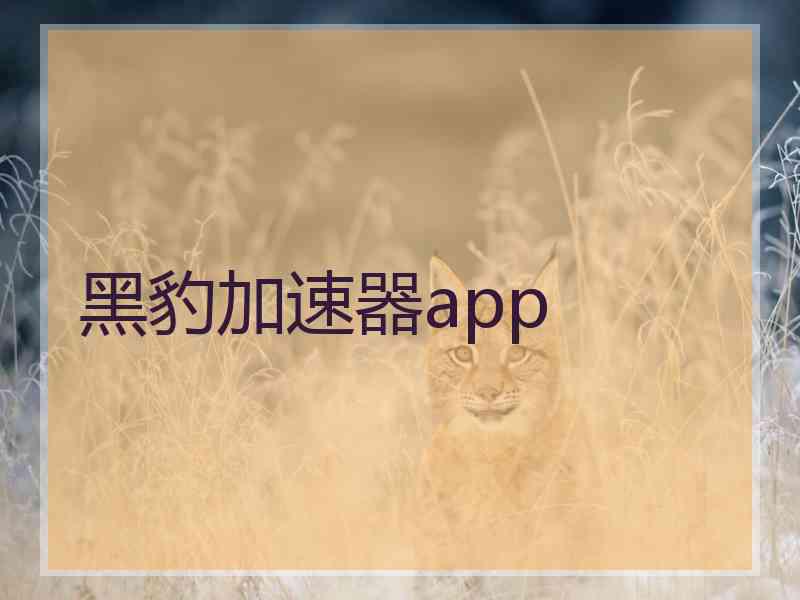 黑豹加速器app