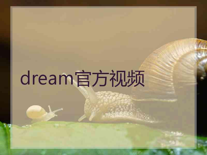 dream官方视频