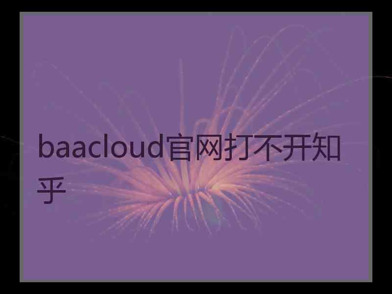 baacloud官网打不开知乎