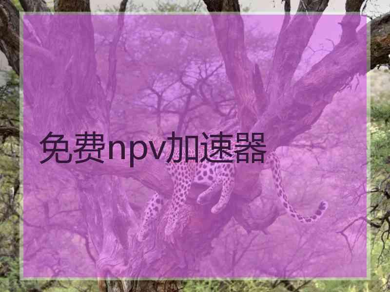 免费npv加速器