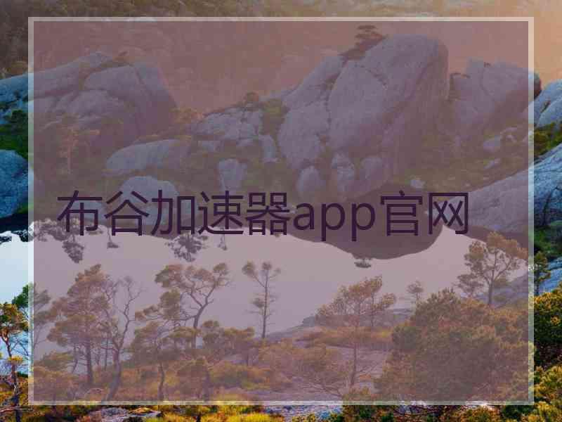 布谷加速器app官网