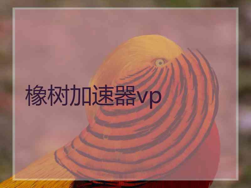 橡树加速器vp