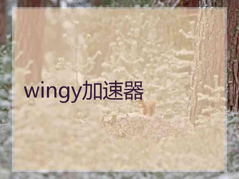 wingy加速器