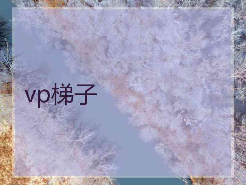 vp梯子