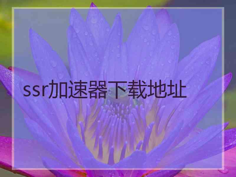 ssr加速器下载地址