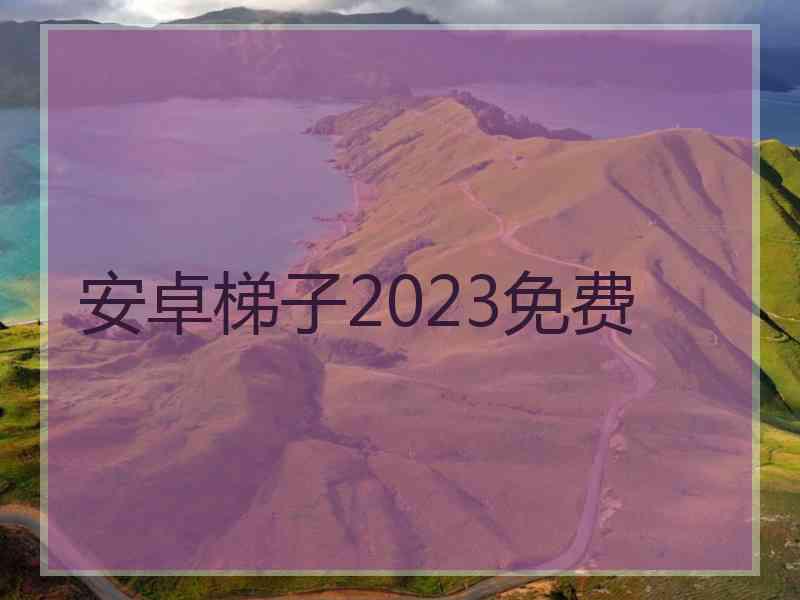 安卓梯子2023免费