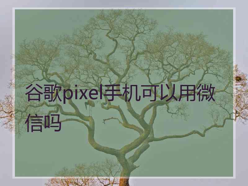 谷歌pixel手机可以用微信吗