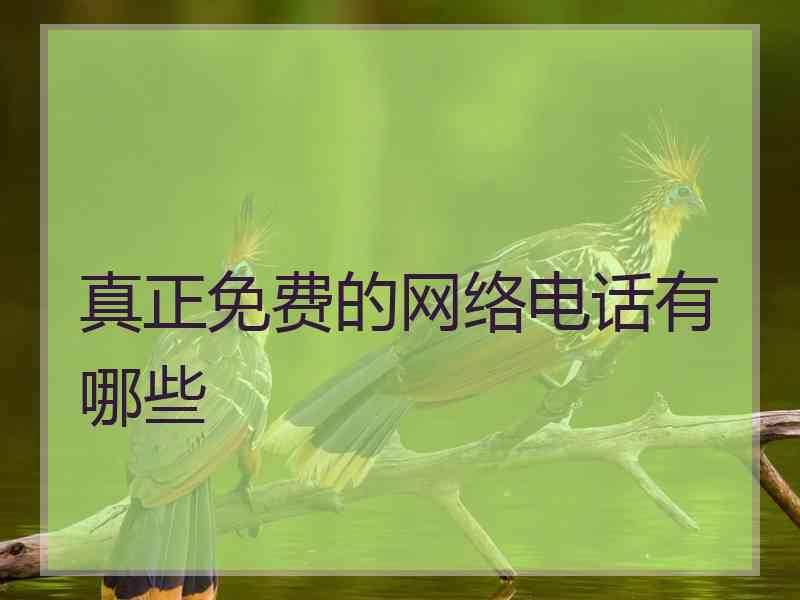 真正免费的网络电话有哪些