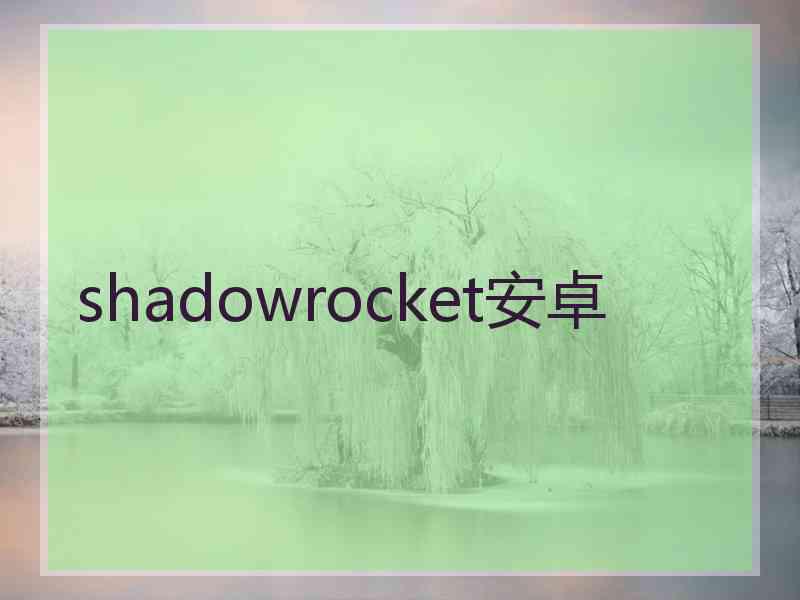 shadowrocket安卓