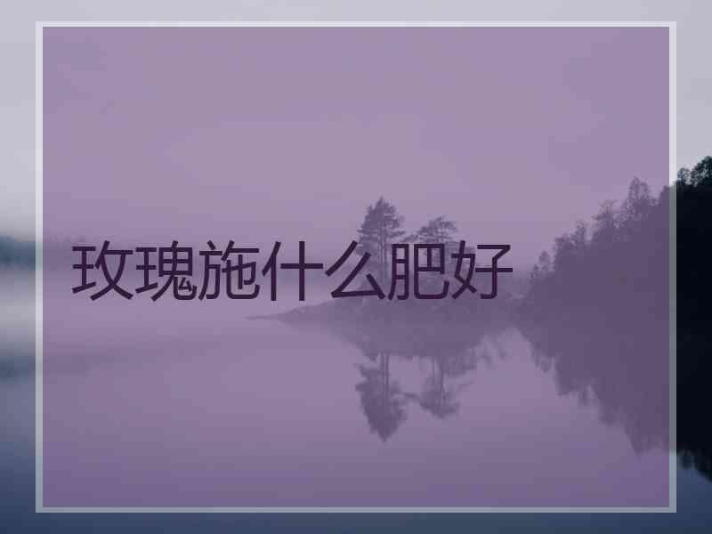 玫瑰施什么肥好