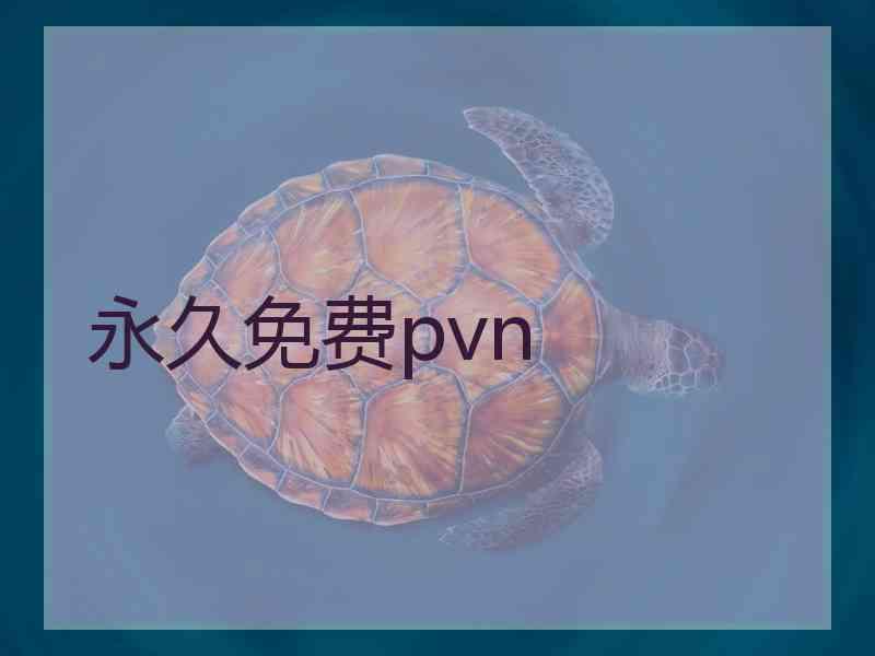 永久免费pvn