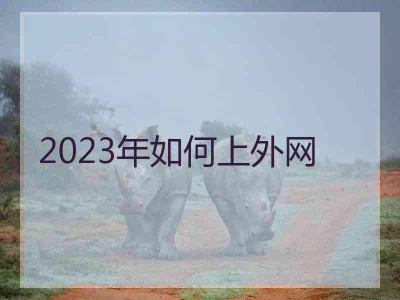 2023年如何上外网