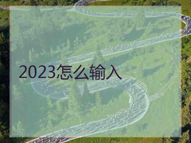 2023怎么输入