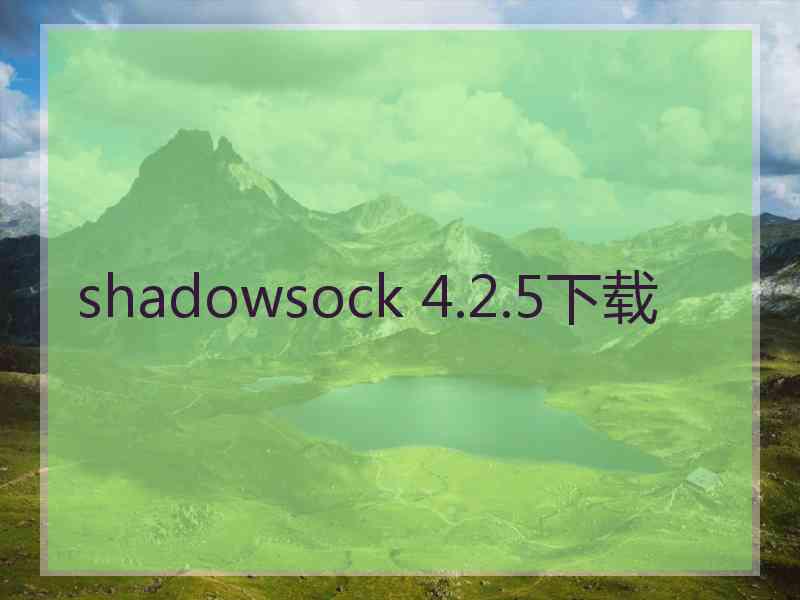 shadowsock 4.2.5下载