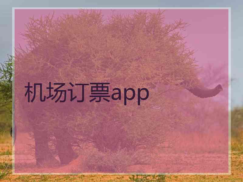 机场订票app