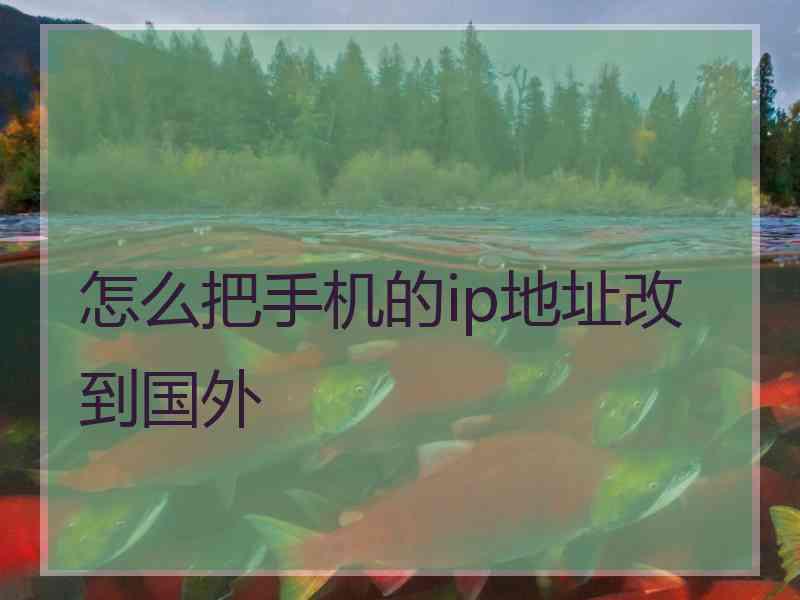 怎么把手机的ip地址改到国外