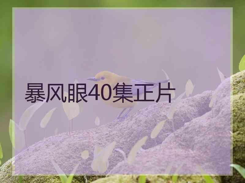 暴风眼40集正片